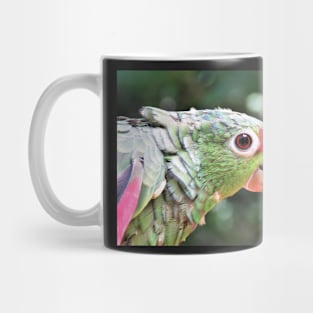 Green Parrot Photography Mug